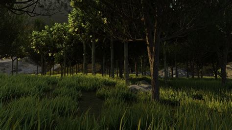 Forest with grass and trees 3D model | CGTrader