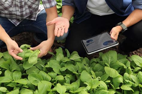 Así es la sanidad vegetal, la clave para evitar la despoblación