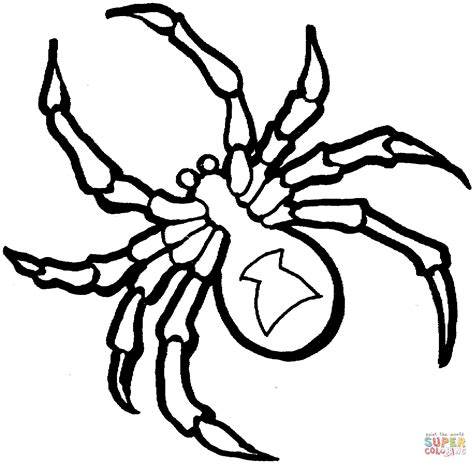 Free Printable Spider Coloring Pages - Printable Word Searches