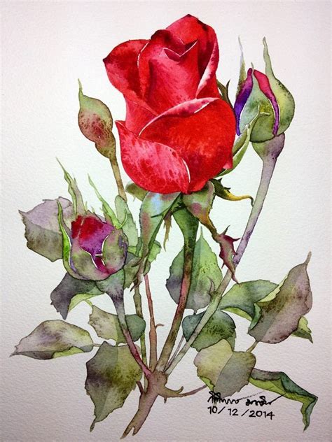 386 best Roses images on Pinterest | Flower art, Watercolor painting and Art flowers