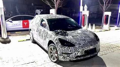 Has the new Tesla small electric car finally been caught on camera? - Drive