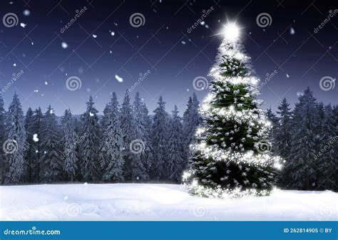 Christmas Tree in a Snowy Winter Forest Stock Image - Image of magic ...