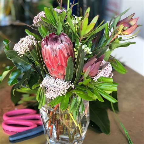 The protea is a stylish and elegant flower that is all the rage in ...