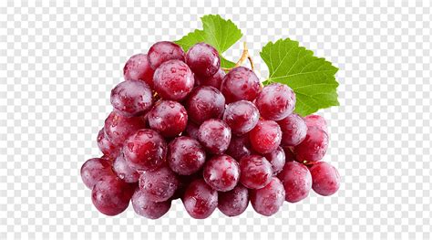 Grapes, Common Grape Vine, Red Wine, Red Globe, Juice, Fruit, Table Grape, Harvest, Common Grape ...