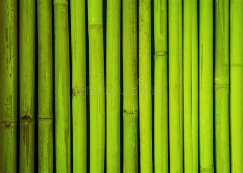 Green Bamboo Fence Texture, Bamboo Background, Texture Background, Bamboo Texture Stock Photo ...