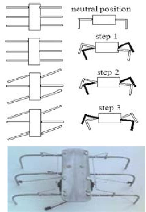 Forward motion diagram | Download Scientific Diagram