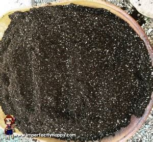 The Best DIY Soil Mix Recipe - the Imperfectly Happy home