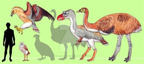 Ice Age birds by PaleoAeolos | Prehistoric animals, Animals images, Prehistoric