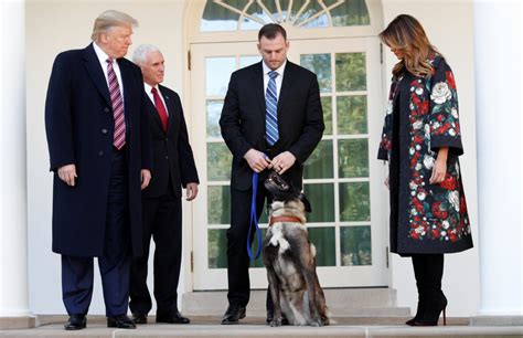 WATCH: Trump honors military dog involved in al-Baghdadi raid | PBS News