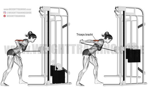 Cable triceps kickback exercise instructions and video