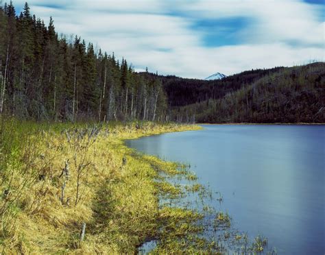 Kenai National Wildlife Refuge - 2018 Photo Contest - Alaska Magazine