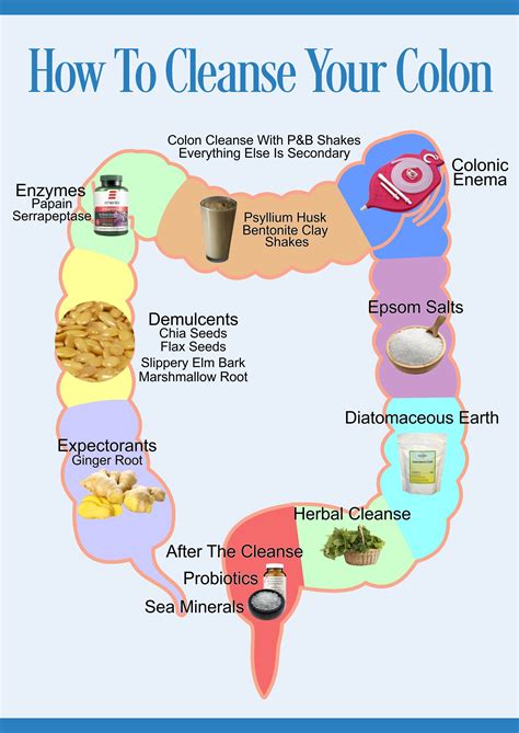 colon cleanse | Herbal cleanse, Colon cleanse diet, Herbal colon cleanse