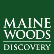 Maine Woods Discovery