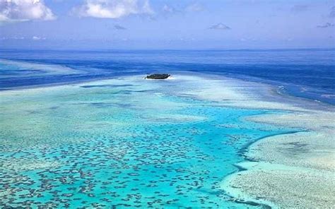 Is the Abbot Point expansion toxic to the Great Barrier Reef? | UNder the C