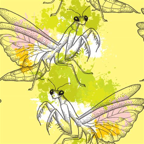 Praying Mantis Camouflage Illustrations, Royalty-Free Vector Graphics & Clip Art - iStock