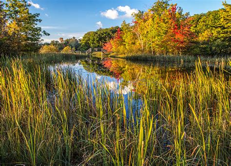 The Best Camping in Michigan: 14 Amazing Spots - PureWow