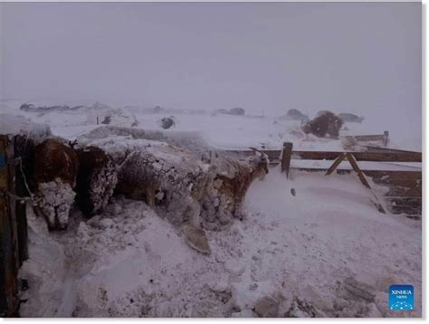 Strong dust, snow storms lash Mongolia - 2 killed and at least 290,000 livestock (UPDATED ...