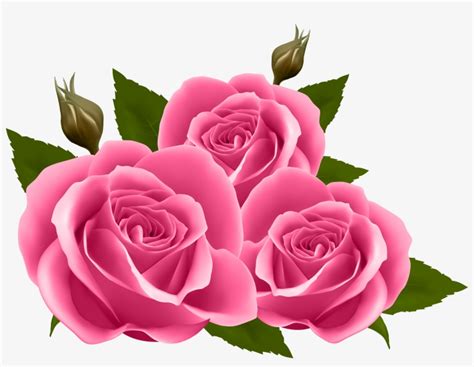 Pink Rose Png Clipart Pink Rose Png Flower Art Light Pink Rose | My XXX ...