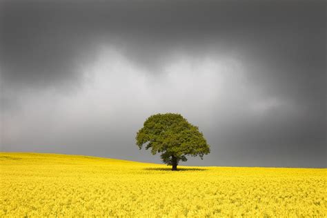 Top 10 Locations for Landscape Photography in Yorkshire - Nature TTL