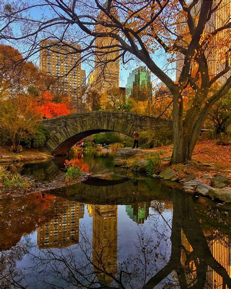 Fall in Central Park - NYC 😍😍😍 Picture by @CBezerraPhotos | Autumn in new york, Central park nyc ...