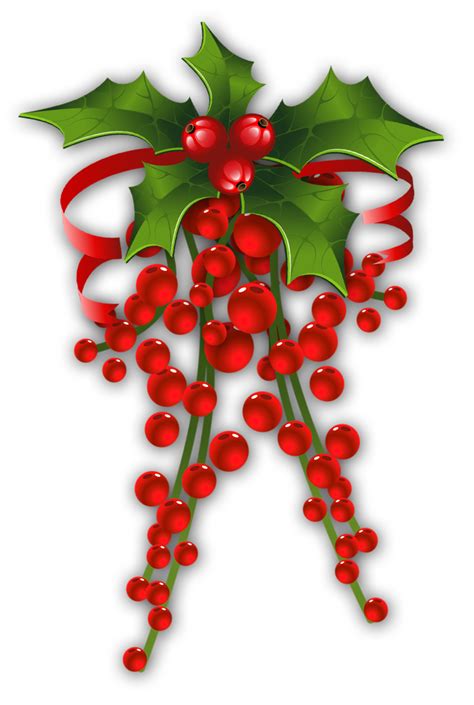 Clipart winter berry, Clipart winter berry Transparent FREE for ...