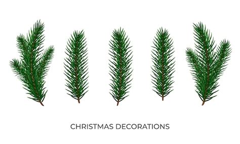 Premium Vector | Christmas tree branches