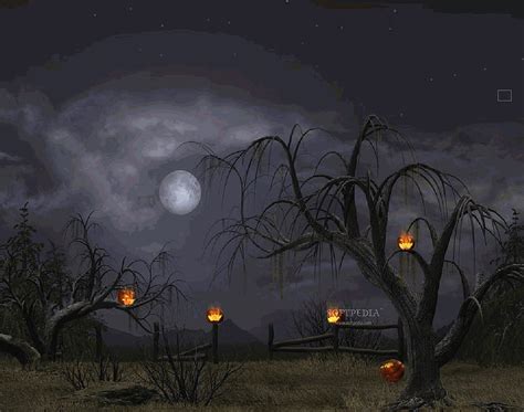 Best halloween , sky, nature, atmospheric phenomenon, night, light ...