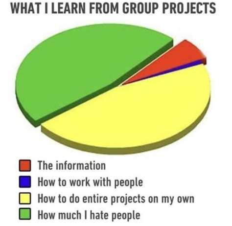 Group Project Memes We Can All Take Credit For (40 Pics)