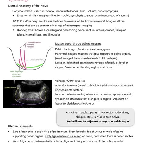 OB/GYN Study Guide - My Ultrasound Tutor