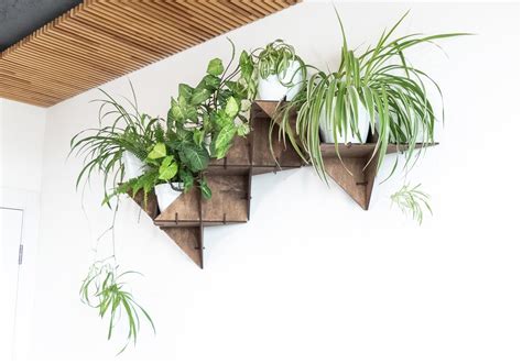 Hanging Plant Shelf Floating Shelf Wall Planter Indoor Art - Etsy.de