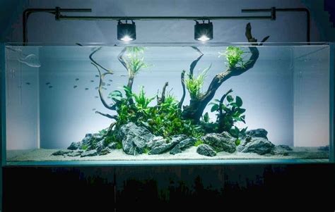 Relaxation-Aquascaping-Ideas-for-Inspiration-1 - inspiredetail.com