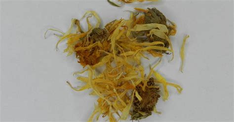 Calendula Flower – Elz Tastes & Tea Market in Spokane Valley