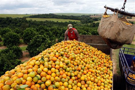 Brazil Agriculture Booms, Even As Grain Prices Wobble By International ...