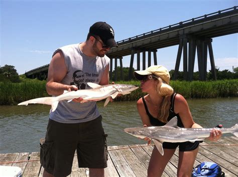 Fishing - TYBEE ISLAND CHARTERS