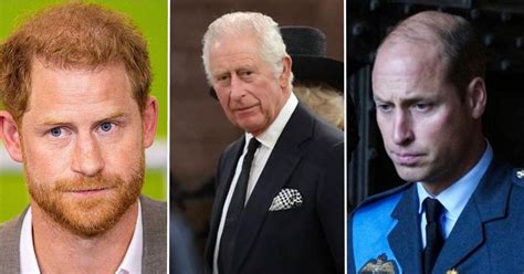 Prince Harry Refused To See Charles, William After Meghan Diss