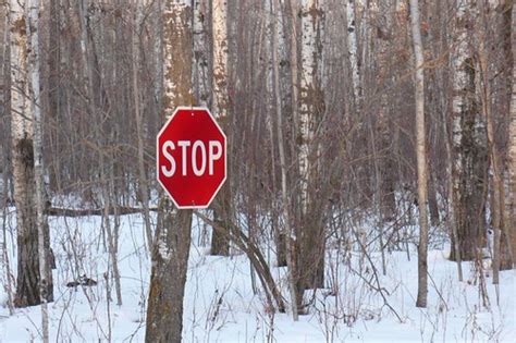 Urban Stop Sign | This is in the middle of a bush somewhere ...