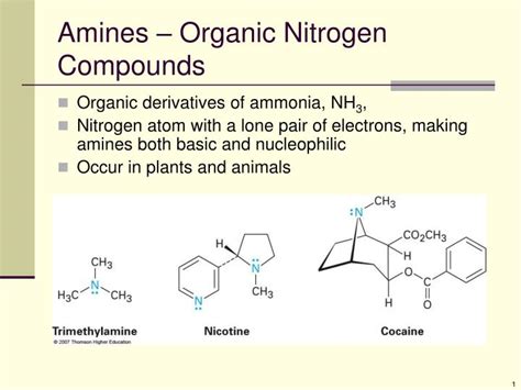 PPT - Amines – Organic Nitrogen Compounds PowerPoint Presentation, free download - ID:1992395