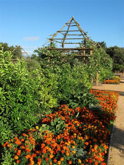 Babylonstoren - Picture gallery | Outdoor gardens, Tree island, Home design diy