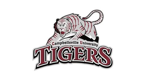 3-3-5 Defense Fronts - Campbellsville University - FootballXOs.com