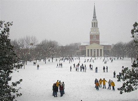 Wake Forest University Ranking, Address, & Admissions