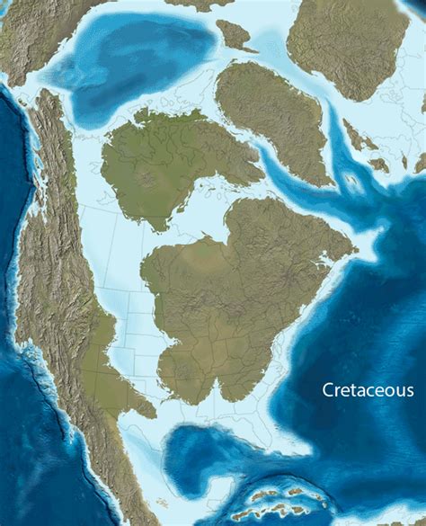 The importance of our moon and plate tectonics for evolution | Science ...