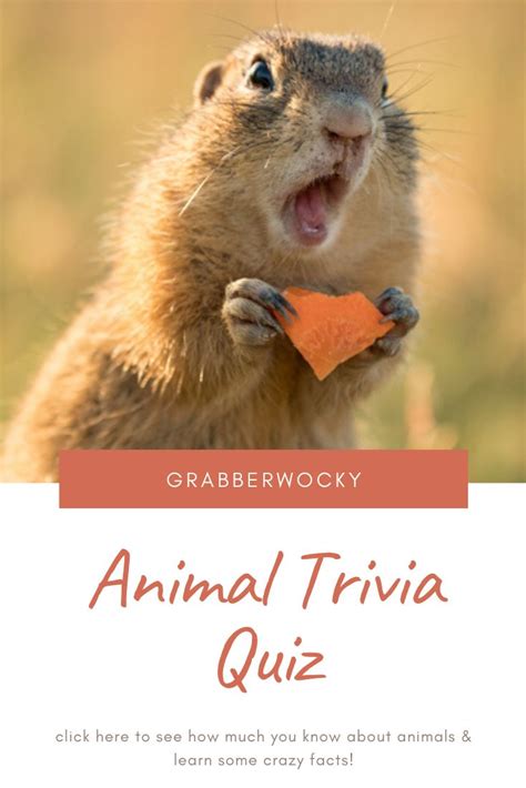 Can You Answer This Round of Animal Trivia Questions Correctly? Trivia ...