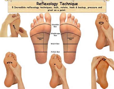 Reflexology Techniques | Alternative Medicines (Natural Treatments) | Reflexology, Foot ...