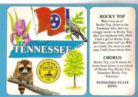 Tennessee State Symbols And State Song Cs6785