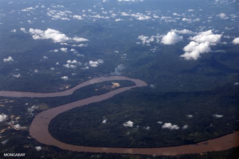 Forest and plantations along the Kapuas river