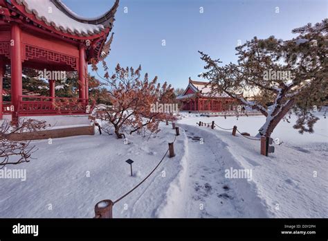 Montreal Botanical garden at dusk in winter, Jardin Botanique de ...