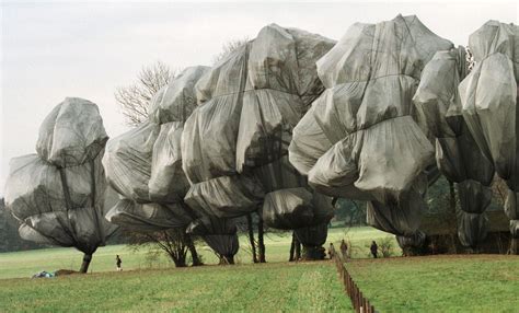 wrapped artist - Google Search | Land art, Arte ambientale, Arte