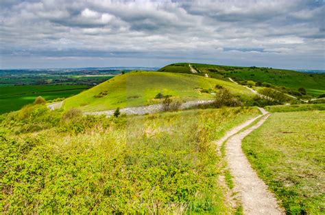 Trail to Ivinghoe Beacon Chiltern Hills Buckinghamshire England UK by RW Jemmett - digital ...