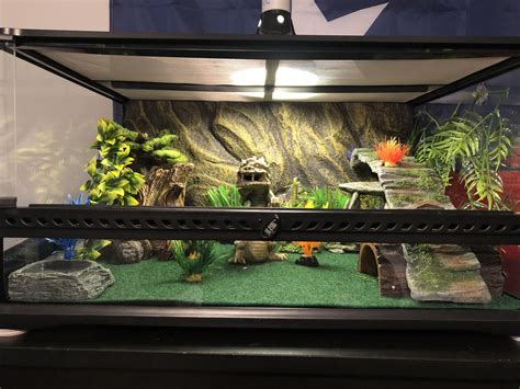 This is my 8 month old leopard gecko Felix’s new terrarium. It is a ...