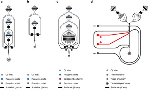 Design of microfluidic devices (a) Device used to compartmentalize... | Download Scientific Diagram